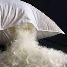 Feather Pillows